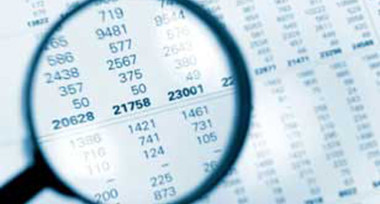 Fraud Audit Services