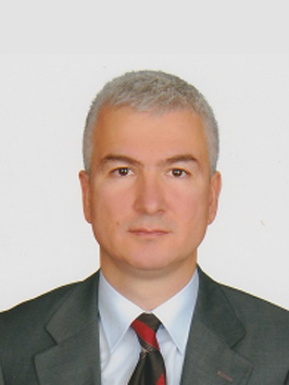 Mustafa PAK CPA, Audit